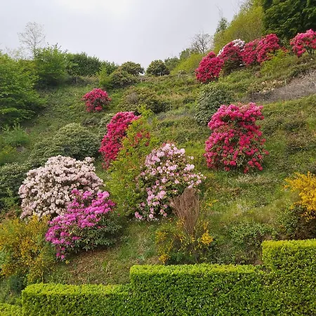 Lo Scoiattolo מלון